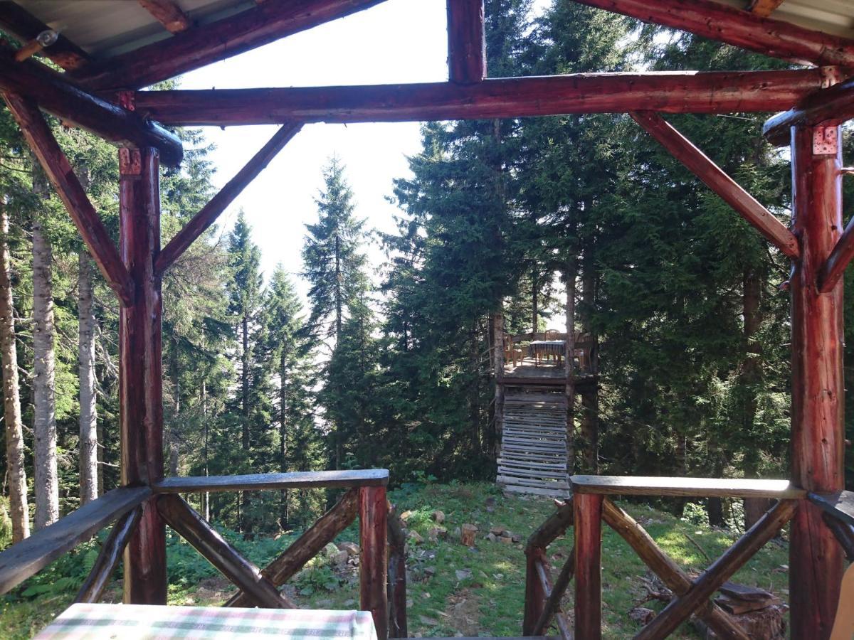 Отель Demircioglu Pokut Dag Evi Camlihemsin Экстерьер фото