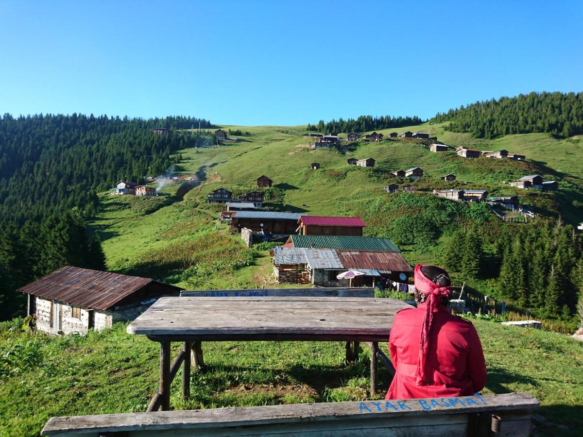 Отель Demircioglu Pokut Dag Evi Camlihemsin Экстерьер фото