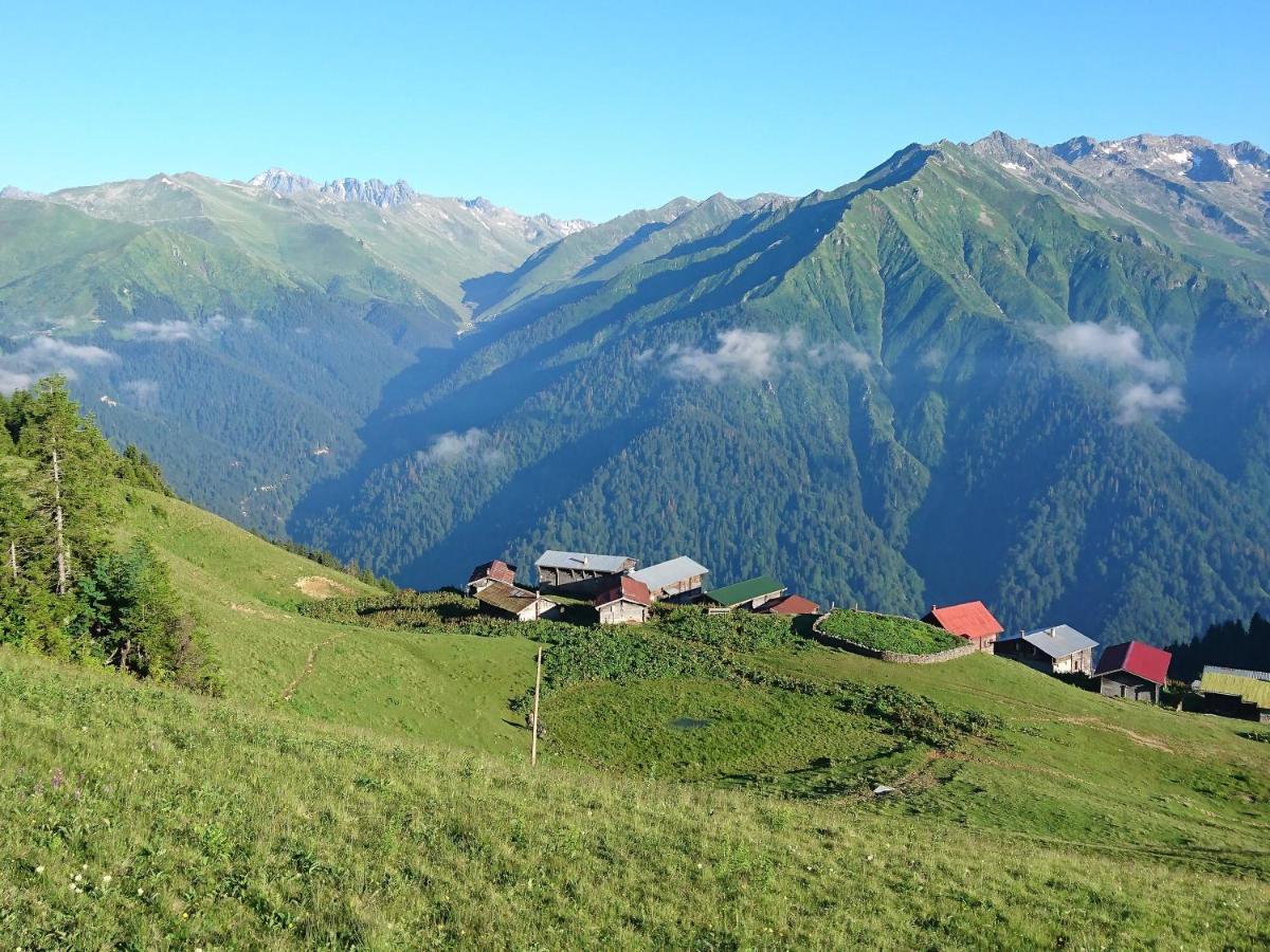 Отель Demircioglu Pokut Dag Evi Camlihemsin Экстерьер фото